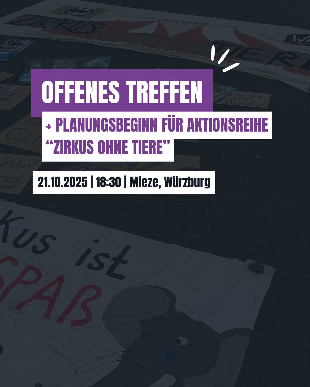 Im.Hintergrund ein Transparent gegen Tiere im Zirkus.
Offenes Treffen: Planungsbeginn für Aktionsreihe "Zirkus ohne Tiere"
21.10.25, 18:30, Mieze, Würzburg
