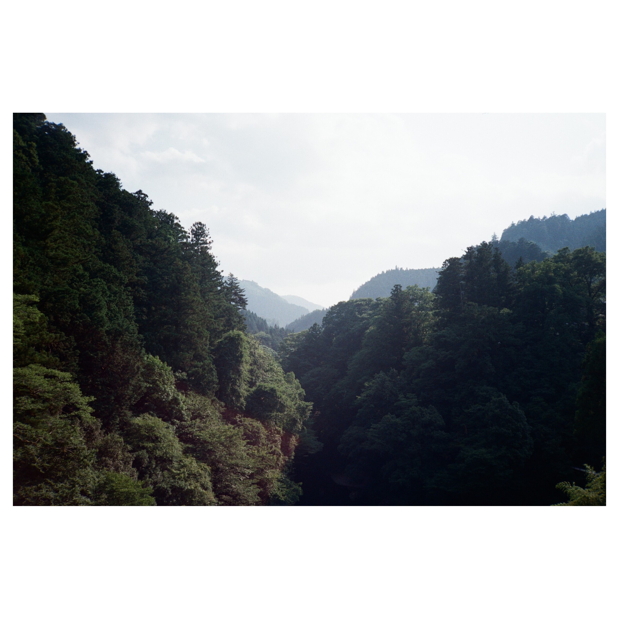 Waves of green mountain slopes stretching into the horizon.
