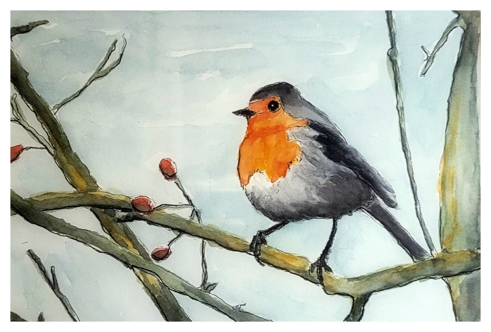 Das Bild zeigt ein mit Fineliner & Aquarell gemaltes Rotkehlchen. Es sitzt auf einem Ast und es sind ein paar Beeren zu sehen.