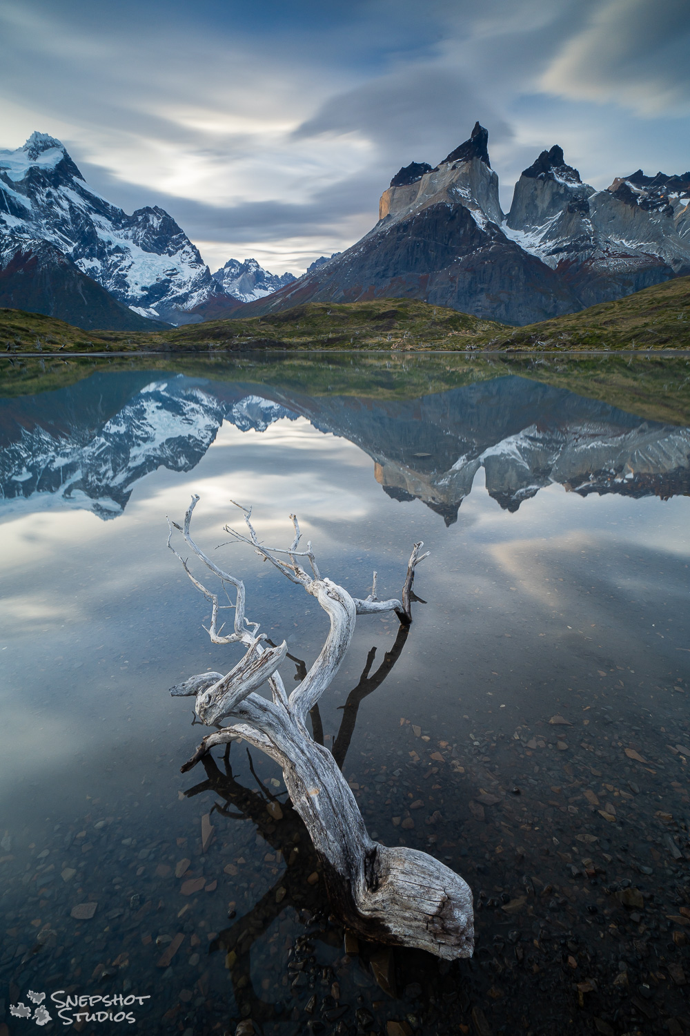 Chile, Torres del Paine, a branch of a burnt tree in a lake with a near perfect reflection of the Cuernos