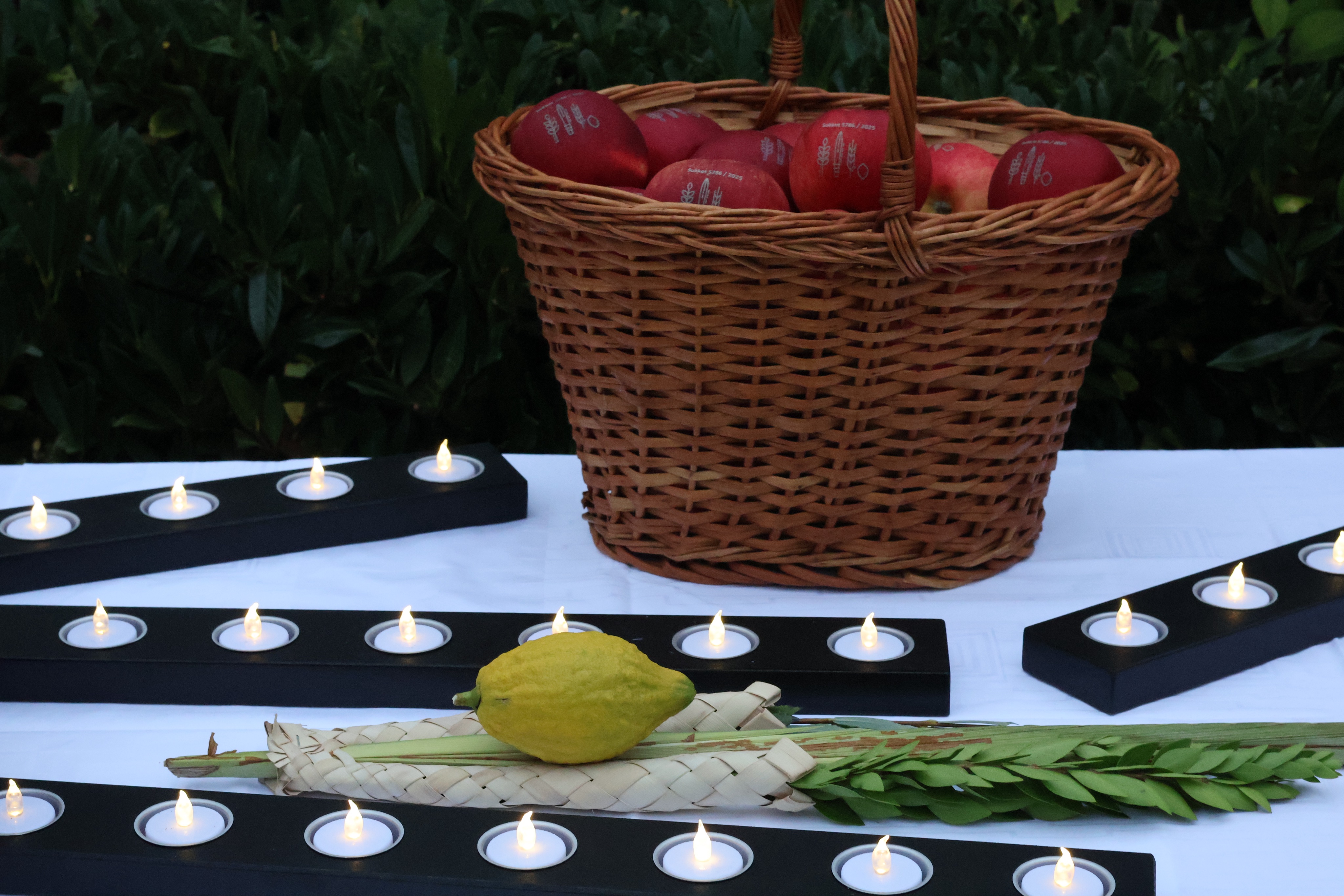 Rote Äpfel mit Aufdruck "Sukkot 5786/2025" mit aufgedruckten Ähren in einem Korb. Lulaw und Etrog liegen davor zwischen Teelichtern in schwarzen Rahmen.