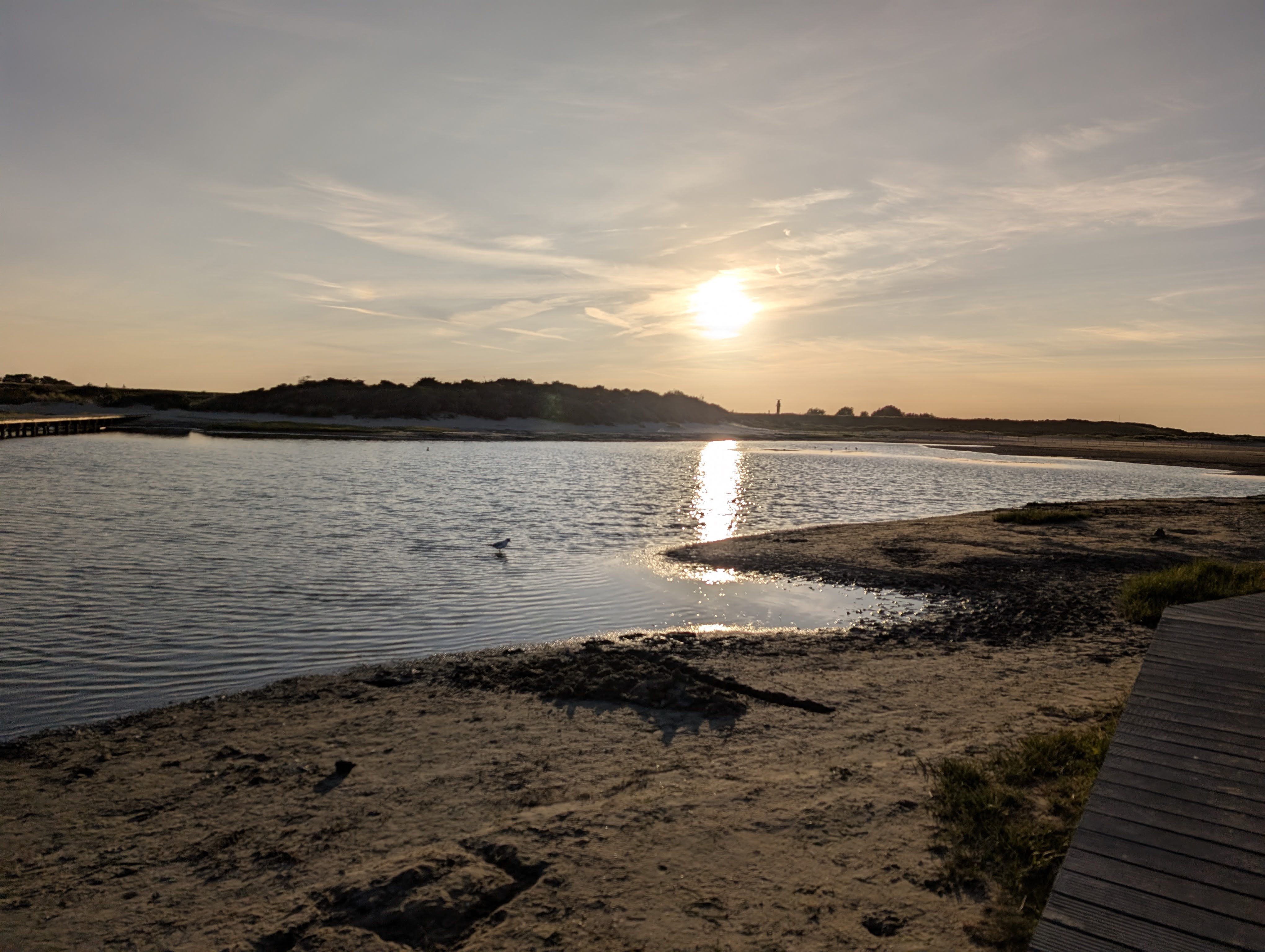 Sonnenuntergang am Strand von Nieuwvliet-Bad in den Niederlanden