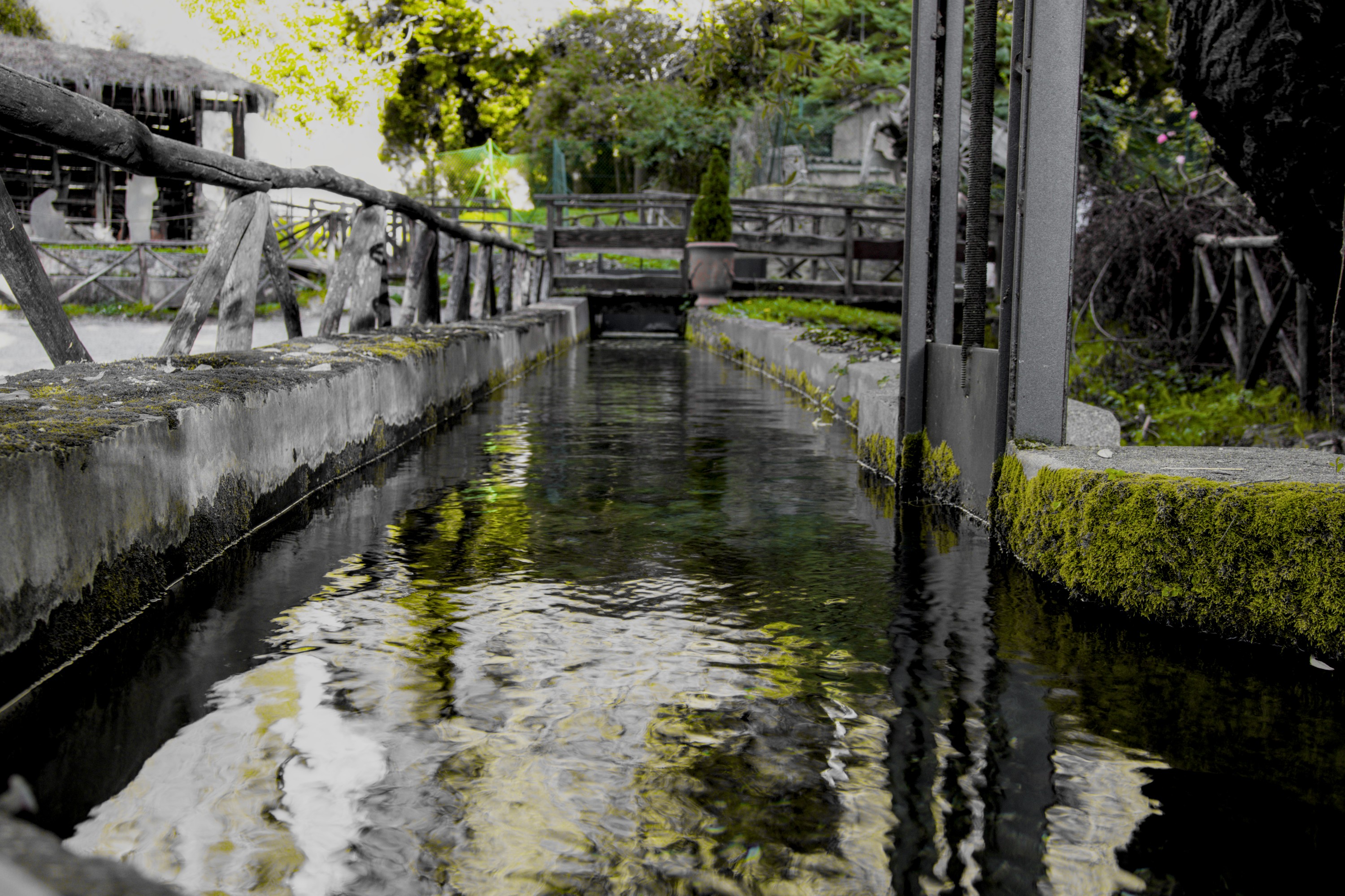 Artificial stream with green musk