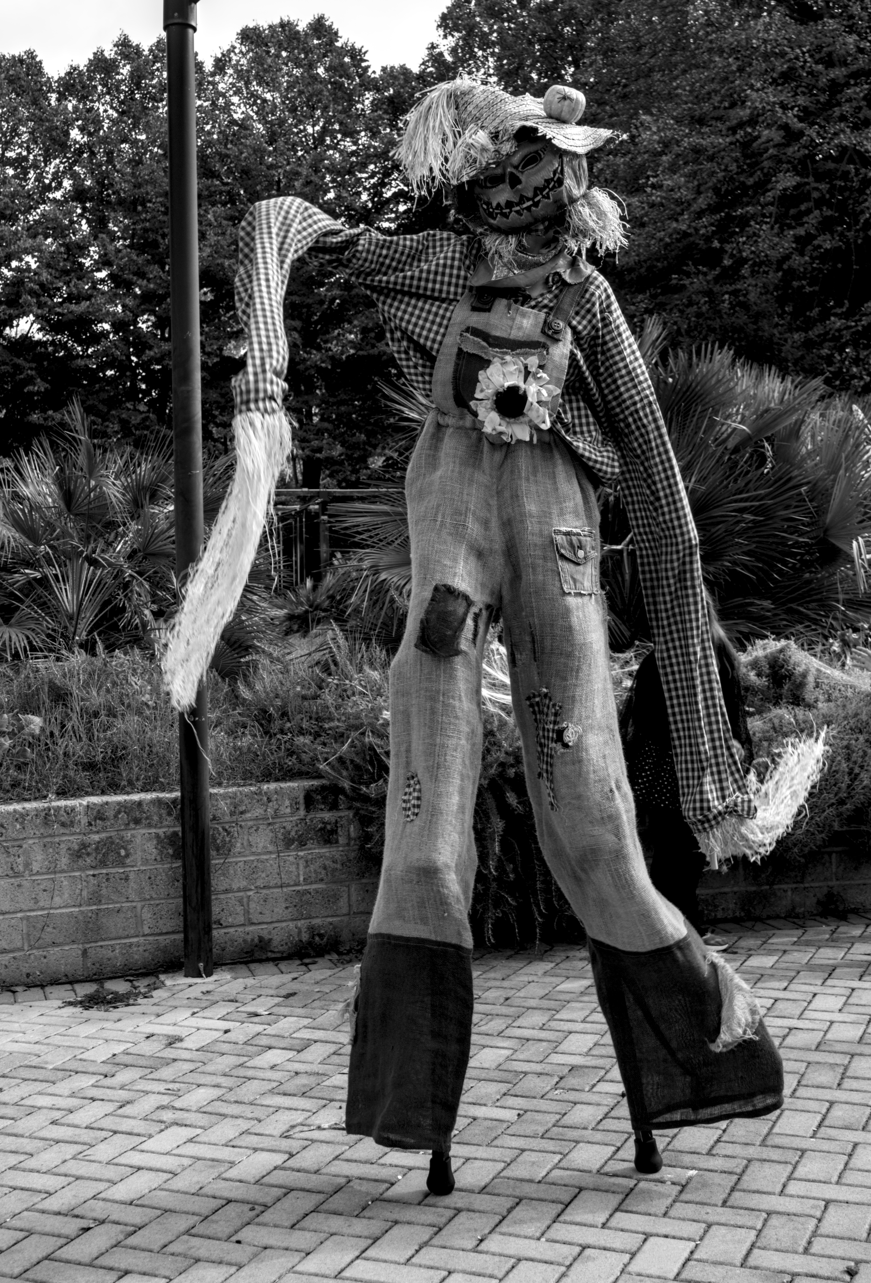 wader dressed as pumpkin monster