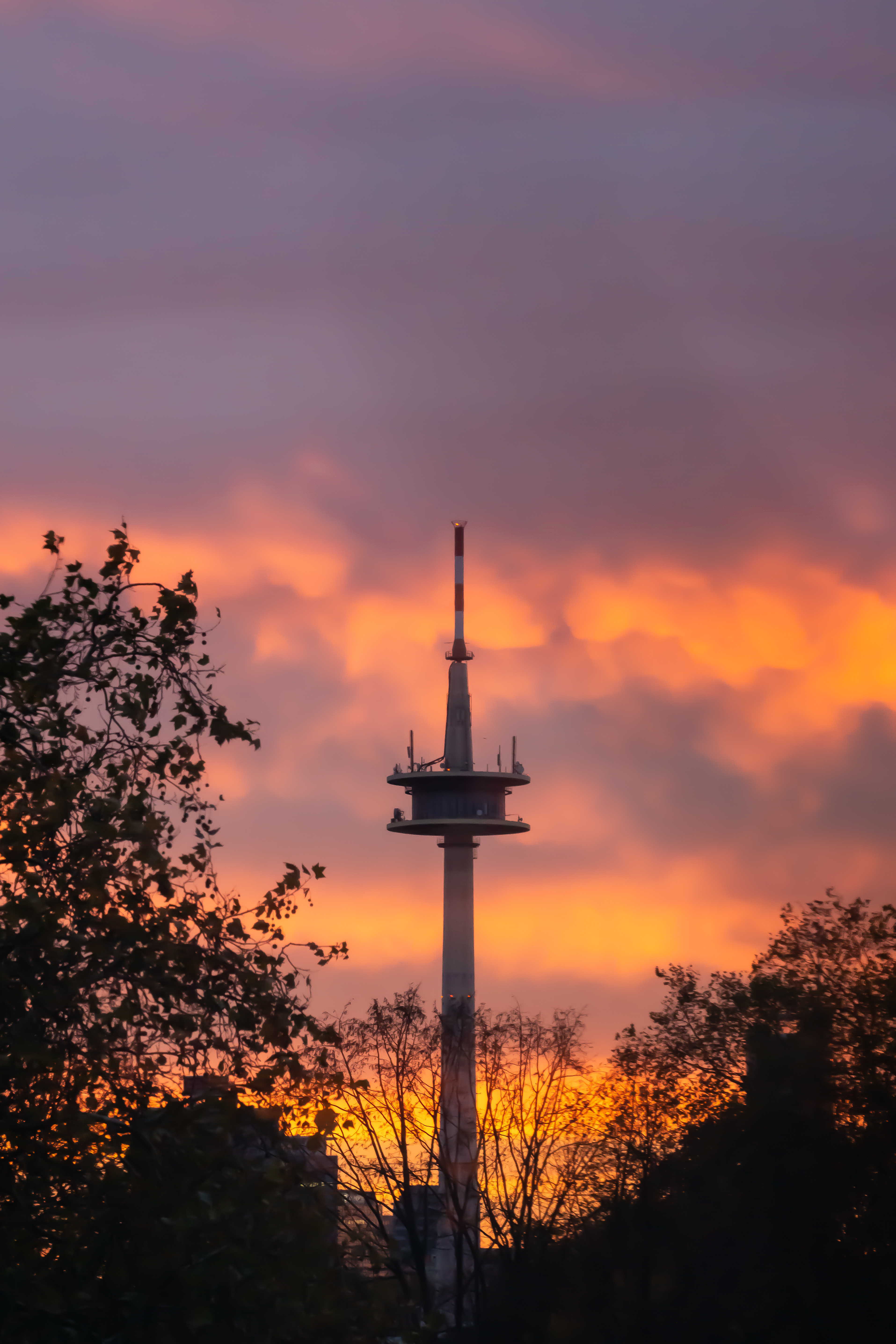 Sunset and a Media Tower. On the left and Right trees as a frame